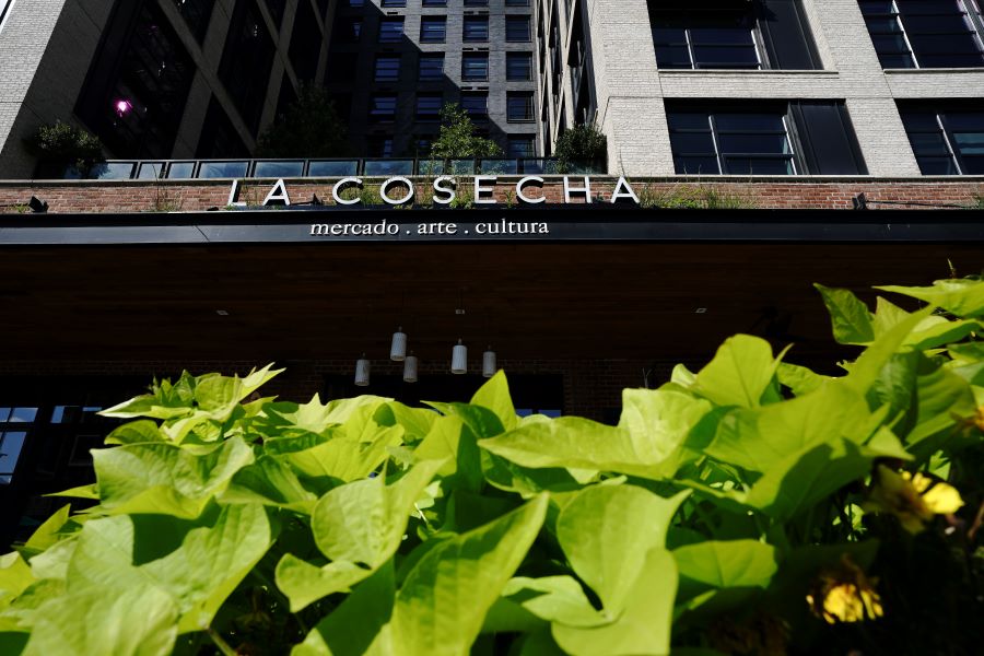 Green leaves outside of a restaurant facade 