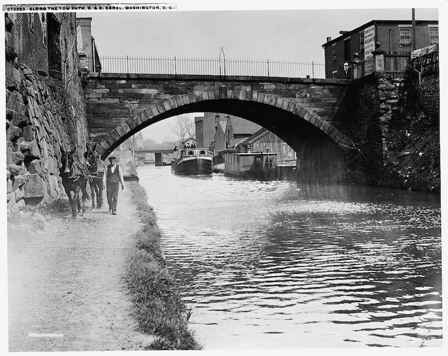 Black-and-white photo of a man leading two mules along the C&O Canal towpath with boats passing under a stone bridge.