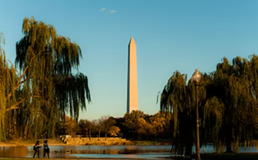 Constitution Gardens
