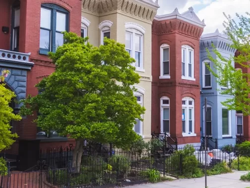 A row of colorful historic rowhouses in Washington, DC, framed by lush greenery and blooming trees.