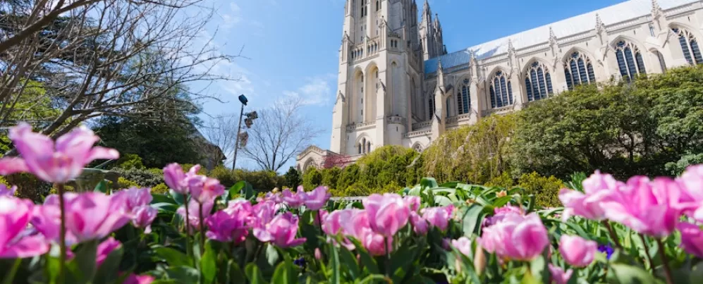 National Cathedral with some flowers 